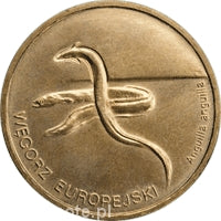 Węgorz europejski 2 zł