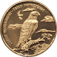 Sokół wędrowny 2 zł